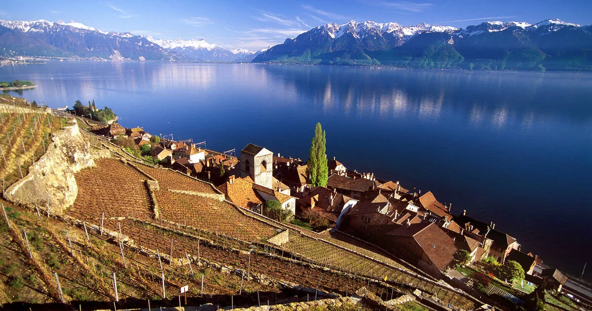 Lavaux Vignobles : Taxi Premium depuis Leysin vers le Patrimoine UNESCO